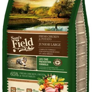 Sam's Filed chiot large